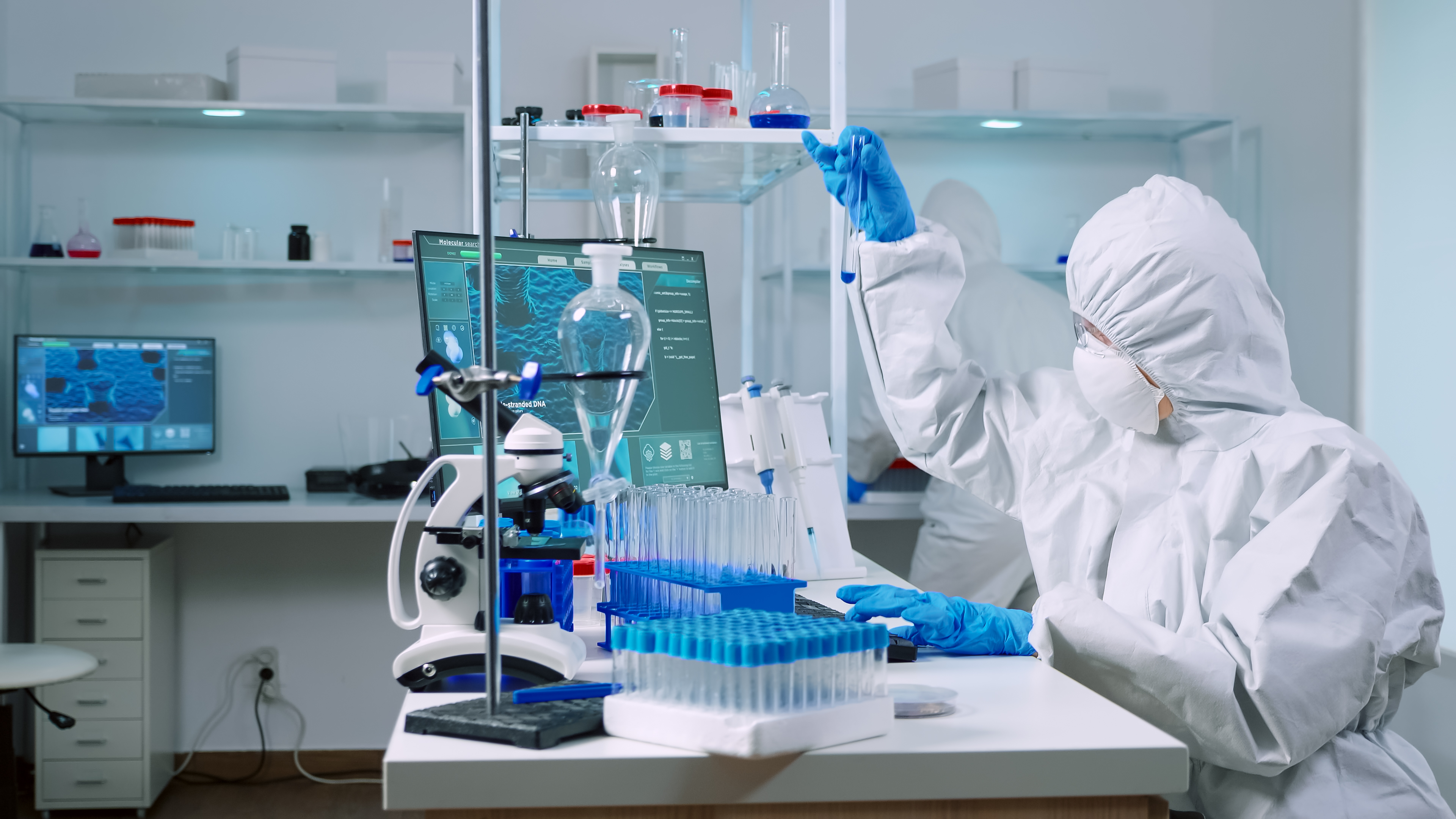 lab